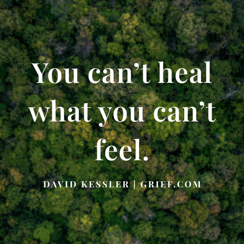 “You can’t heal what you can’t feel.” – David Kessler